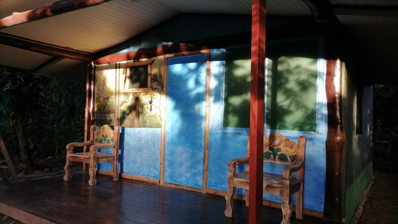 La Palapa Hut Nature Hostel Puerto Jiménez Exterior foto